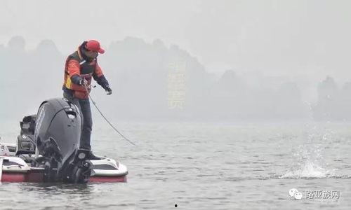 顶尖钓手,揭秘钓鱼高手们的技巧与智慧